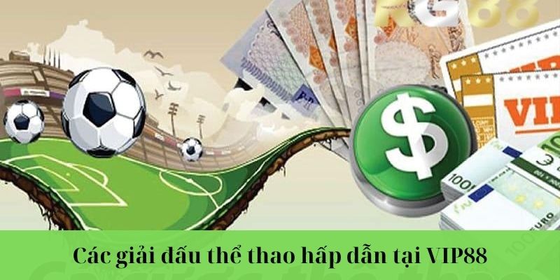 Các giải đấu thể thao hấp dẫn