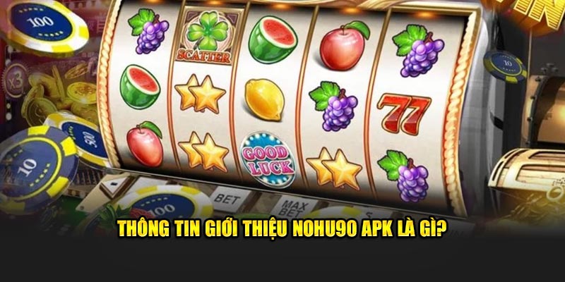 Thông tin giới thiệu Nohu90 APK là gì?